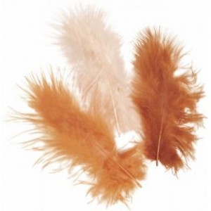 Plunksnų rinkinys 9cm 15vnt ruda-žalia, dekoracijoms
